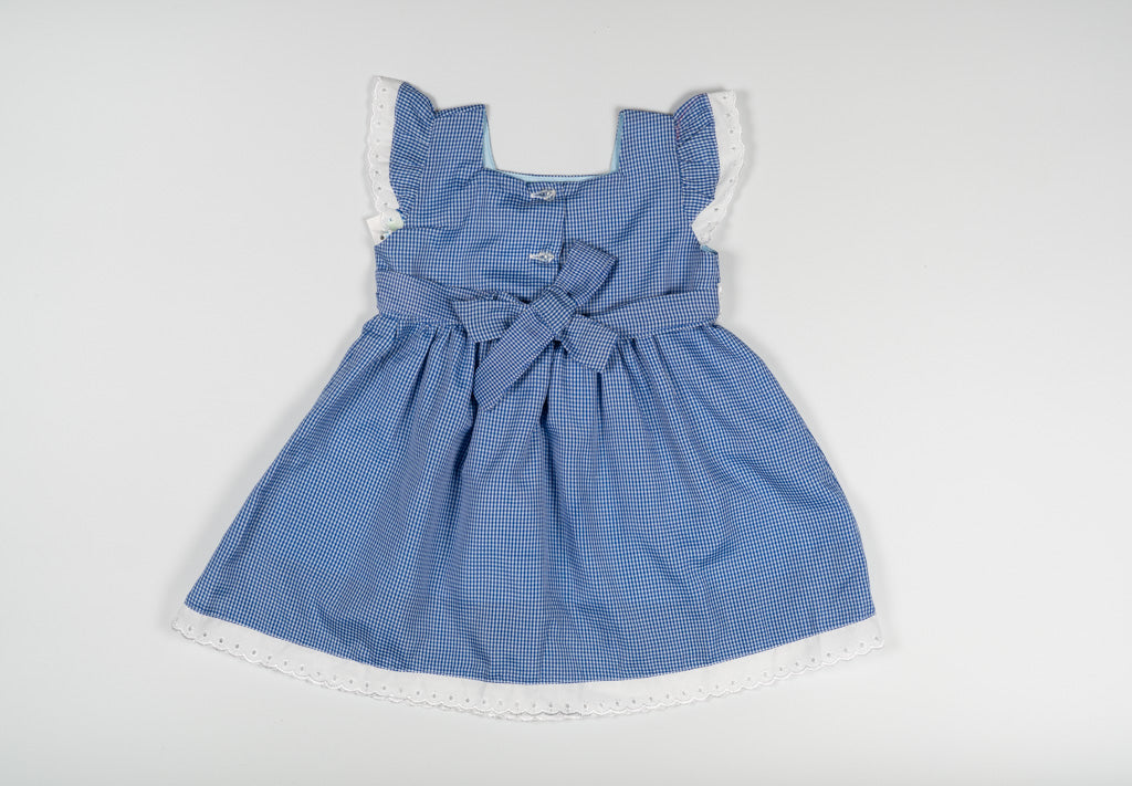 Blue Gingham Lace Trim Dress